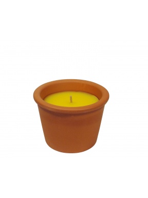 Terracotta pot citronella mini box 6 u /.